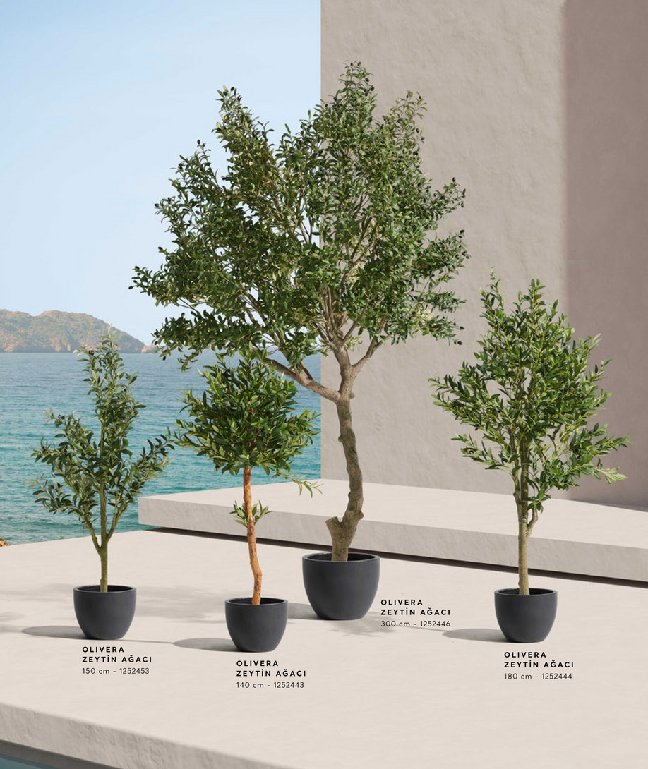 MUDO CONCEPT Ağaç Koleksiyonu 2025 - FICUS LYRATA AĞACI 180 CM