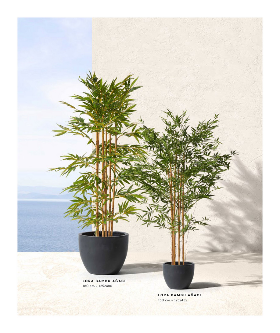 MUDO CONCEPT Ağaç Koleksiyonu 2025 - FICUS LYRATA AĞACI 180 CM